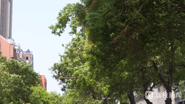 恒运资本配资 大风来袭，威力大！江苏省气象台：今晚全省大风天气渐止