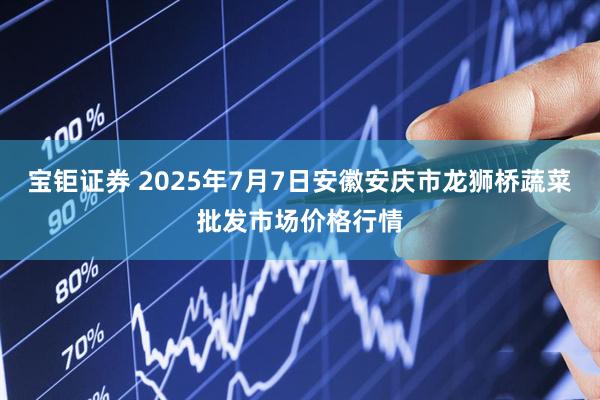 宝钜证券 2025年7月7日安徽安庆市龙狮桥蔬菜批发市场价格行情