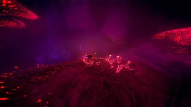 Warframe全新版本《谷底之群智》正式上线，深入未知探索挑战与宝藏