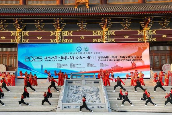 好多牛 2025海峡两岸（德州·庆云）八极拳技艺交流大会举办